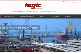 tegic